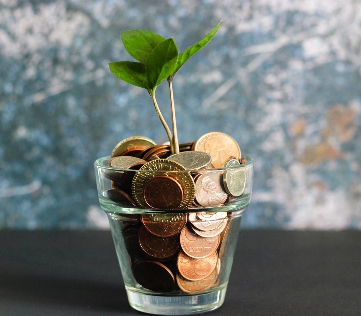 How much does a website cost in 2021